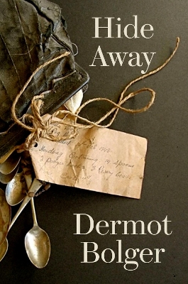 Book cover for Hide Away