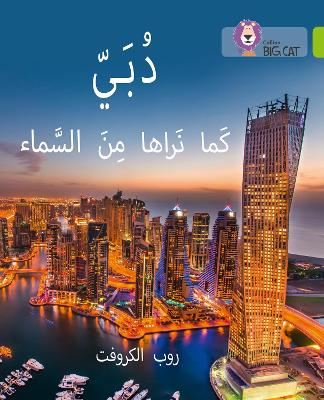 Book cover for Dubai From the Sky