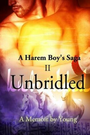 Cover of A Harem Boy's Saga - II - Unbridled