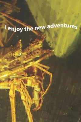 Book cover for I enjoy the new adventures