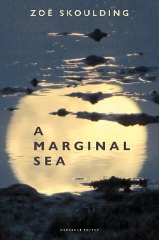 Cover of A Marginal Sea