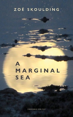 Book cover for A Marginal Sea