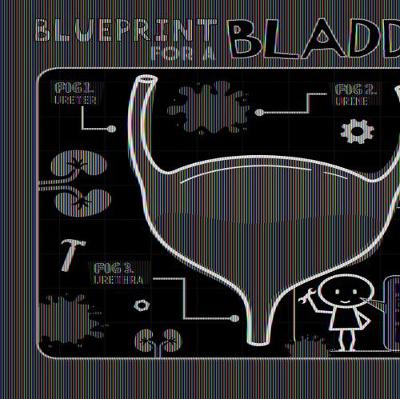 Book cover for Blueprint for a Bladder