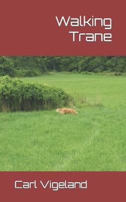 Book cover for Walking Trane