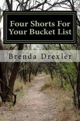 Book cover for Four Shorts for Your Bucket List