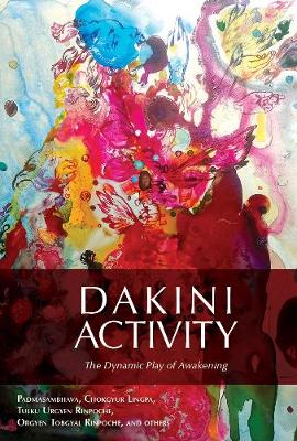 Book cover for Dakini Activity