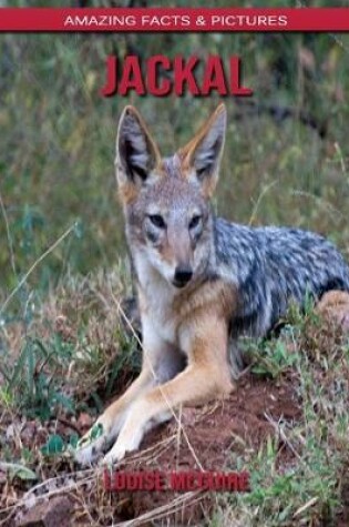 Cover of Jackal