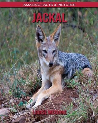 Book cover for Jackal