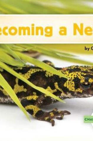 Cover of Becoming a Newt