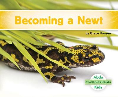 Cover of Becoming a Newt