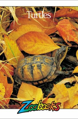 Cover of Turtles