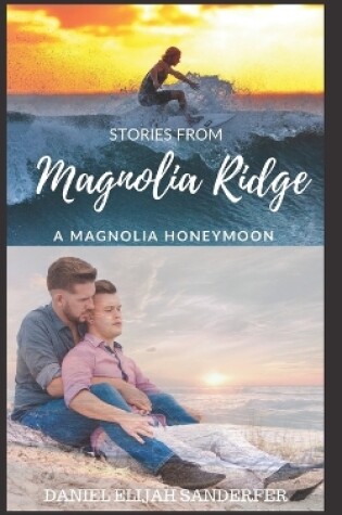 Cover of Stories From Magnolia Ridge 3