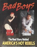 Book cover for Bad Boys