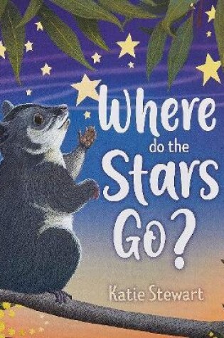 Cover of Where do the stars go?