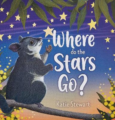 Book cover for Where do the stars go?