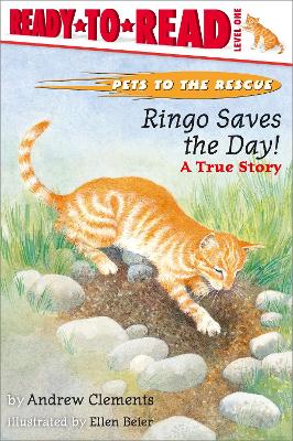 Cover of Ringo Saves The Day!