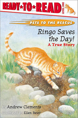 Book cover for Ringo Saves The Day!