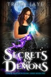 Book cover for Secrets & Demons