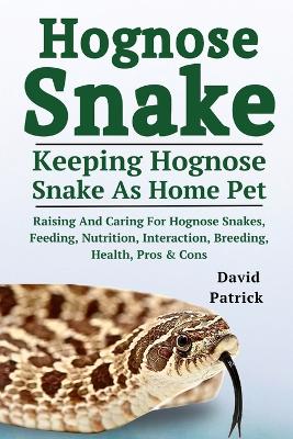 Book cover for Hognose Snake