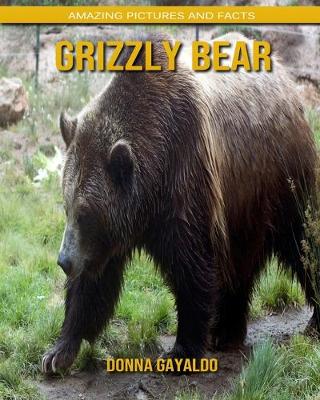 Book cover for Grizzly bear