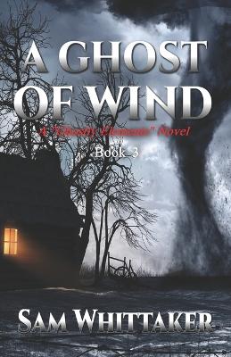 Book cover for A Ghost of Wind
