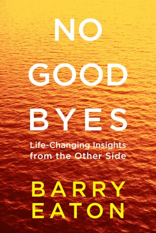 Book cover for No Goodbyes