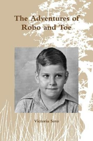 Cover of The Adventures of Robo and Toe