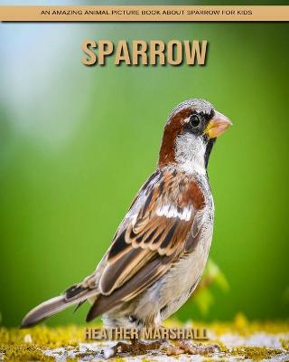 Book cover for Sparrow