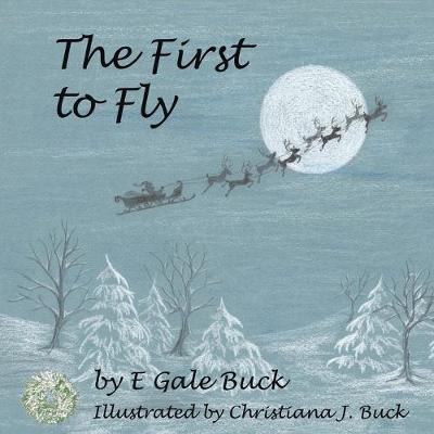 Book cover for The First to Fly