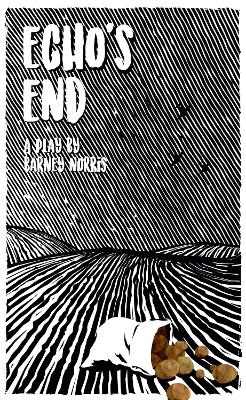 Book cover for Echo's End