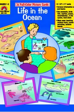 Cover of Life in the Ocean /Picture Cards (24 Cards)