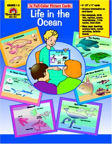 Cover of Life in the Ocean /Picture Cards (24 Cards)