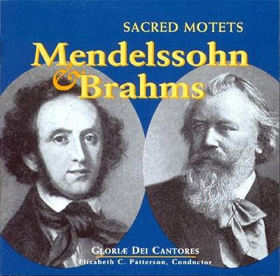 Book cover for Mendelssohn and Brahms