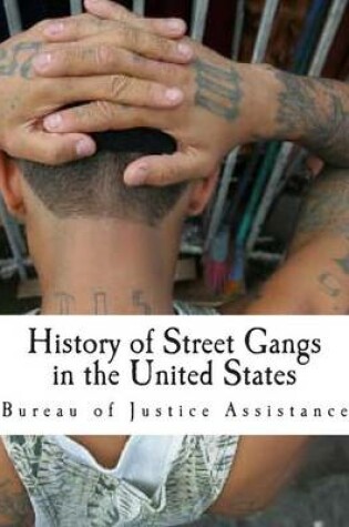 Cover of History of Street Gangs in the United States