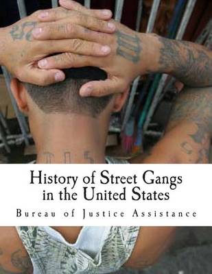 Book cover for History of Street Gangs in the United States