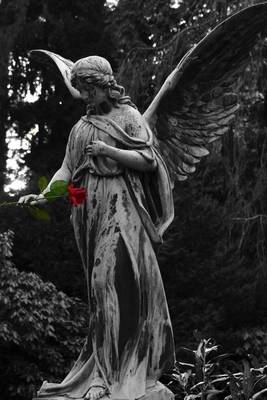 Book cover for Angel Statue Holding a Single Red Rose Journal