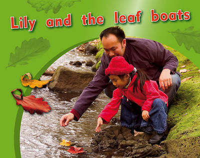 Book cover for Lily and the leaf boats