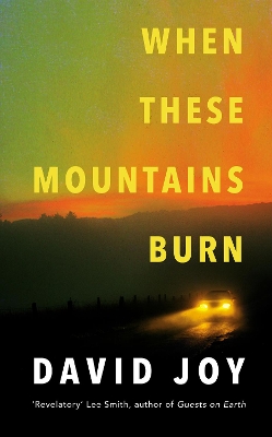 Book cover for When These Mountains Burn