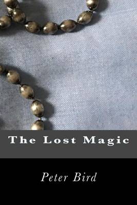 Book cover for The Lost Magic