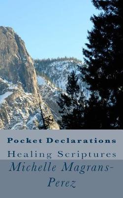 Book cover for Pocket Declarations