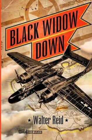 Cover of Black Widow Down