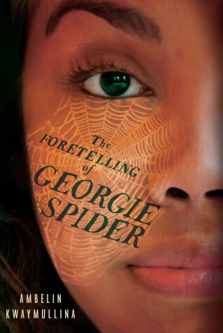 Cover of The Foretelling of Georgie Spider