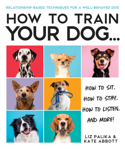 Book cover for How to Train Your Dog