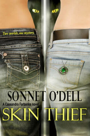 Cover of Skin Thief
