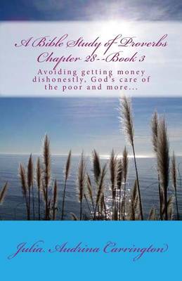 Book cover for A Bible Study of Proverbs Chapter 28--Book 3
