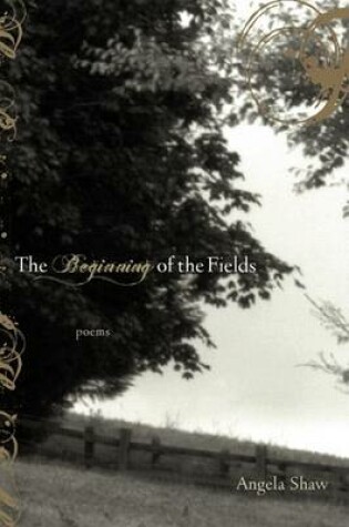 Cover of The Beginning of the Fields