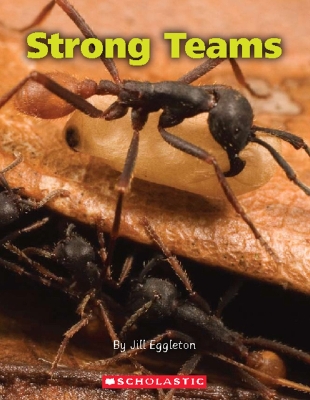 Book cover for Strong Teams