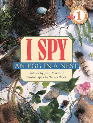 Book cover for I Spy an Egg in a Nest