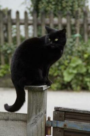 Cover of Black Cat on a Post, for the Love of Cats