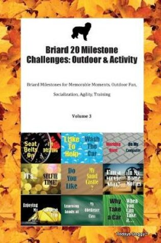 Cover of Briard 20 Milestone Challenges